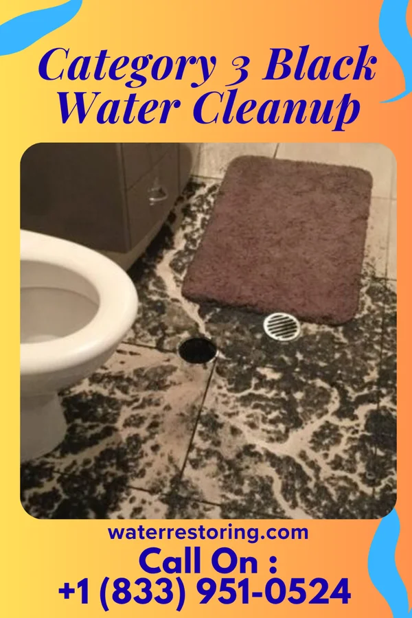 Category 3 Black Water Cleanup in Finleyville, PA