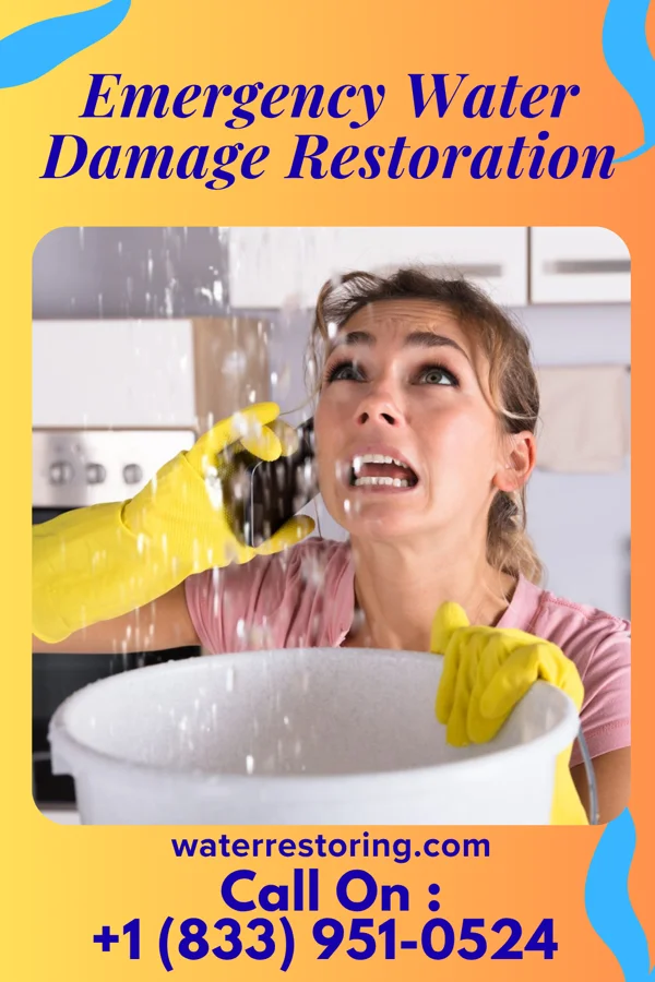 Emergency Water Damage Restoration in Finleyville, PA