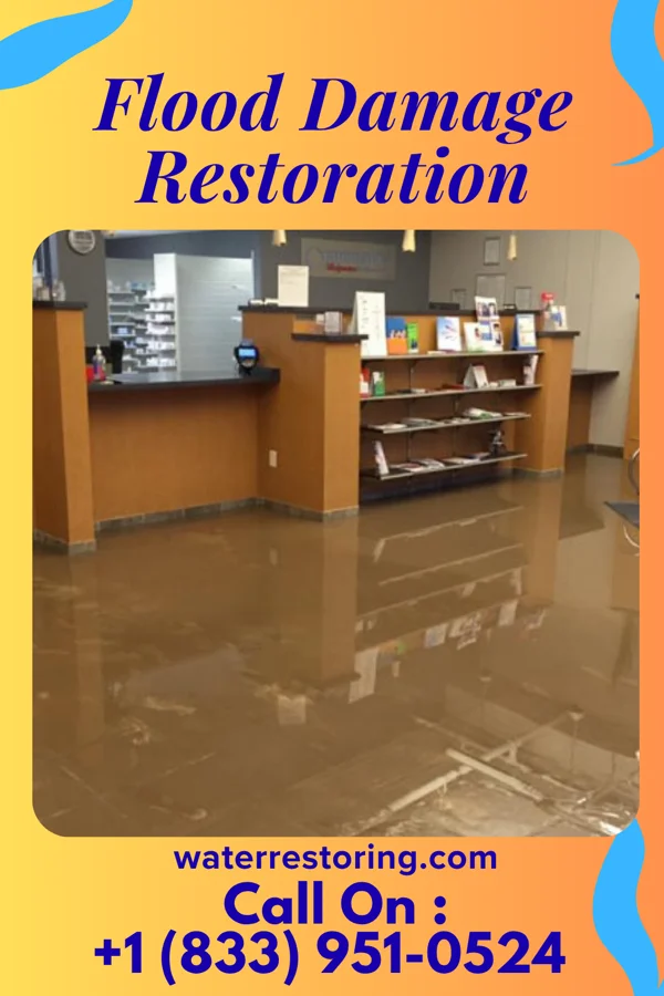 Flood Damage Restoration in Finleyville, PA