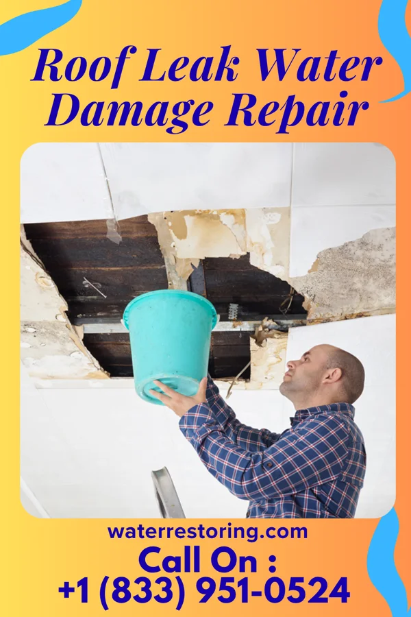 Roof Leak Water Damage Repair in Finleyville, PA