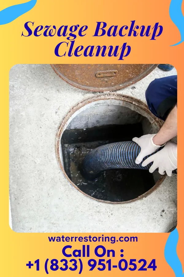 Sewage Backup Cleanup in Finleyville, PA