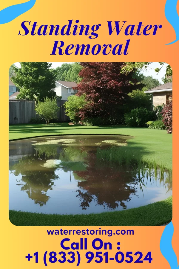 Standing Water Removal in Finleyville, PA